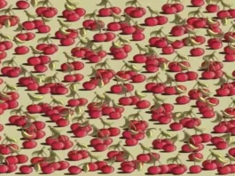 Optical Illusion