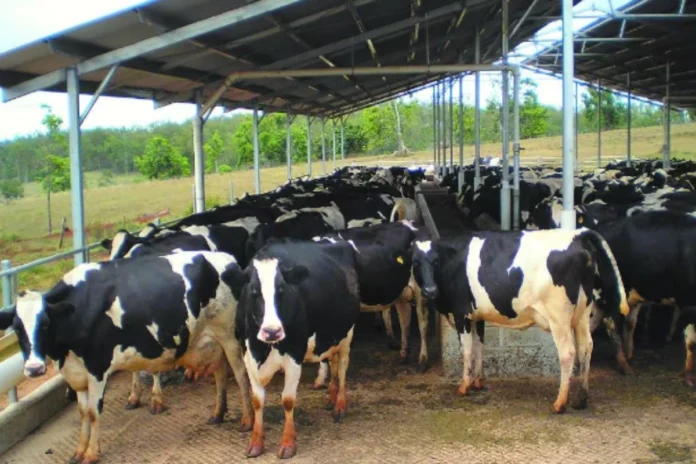 Pashupalan Loan Pashupalan Loan