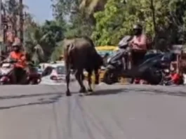 Viral Video
