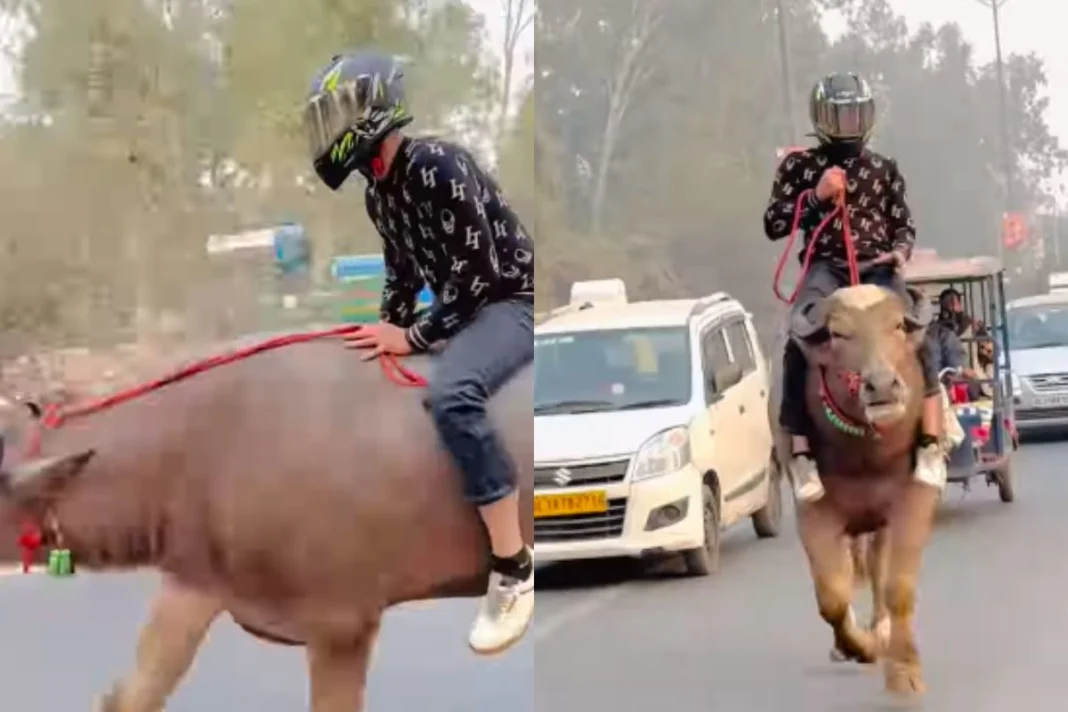 Viral Video