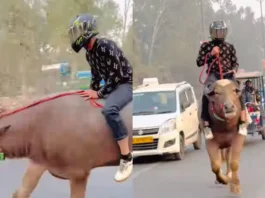 Viral Video