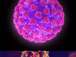 Virus (11)