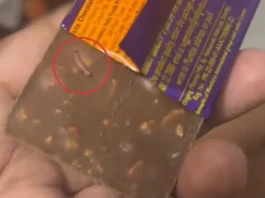 Live Worm Found in Cadbury Dairy Milk