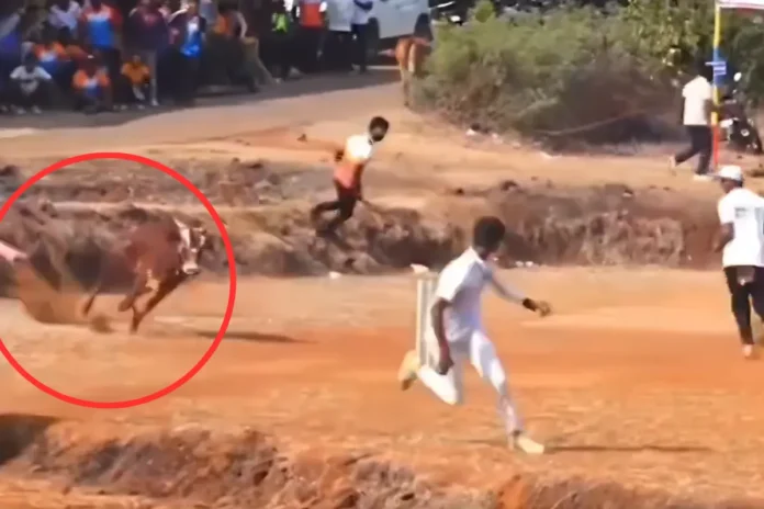 viral video viral video