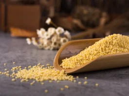 Foxtail Millet