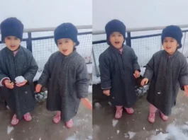 Viral Video Share by Anand Mahindra