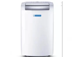 Flipkart Sale