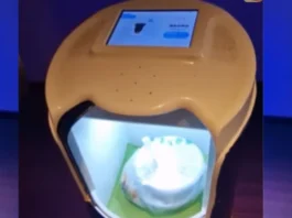 Chinese Food delivery robot