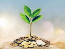 Fixed Deposits