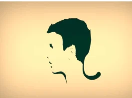 Optical Illusion