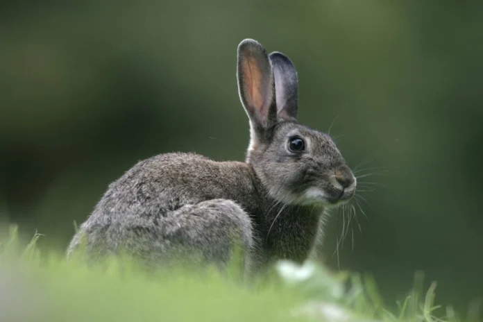 Vastu Tips (12) Vastu Tips