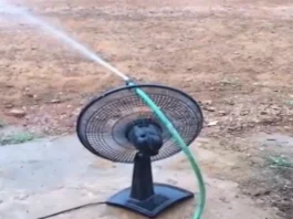 Viral Video