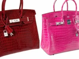 Hand Bags (11)