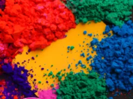 Holi (2)