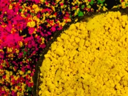 Holi (9)