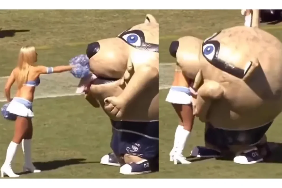 Viral Video