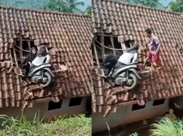 Viral Video