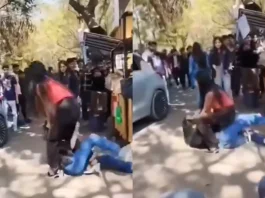 Viral Video