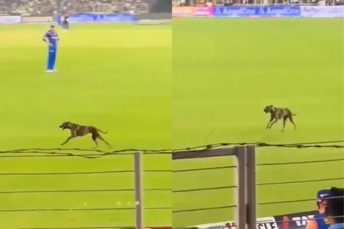 Viral Video Viral Video