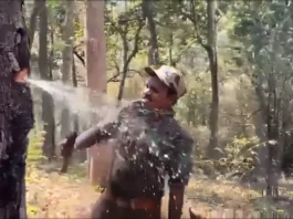 Viral Video