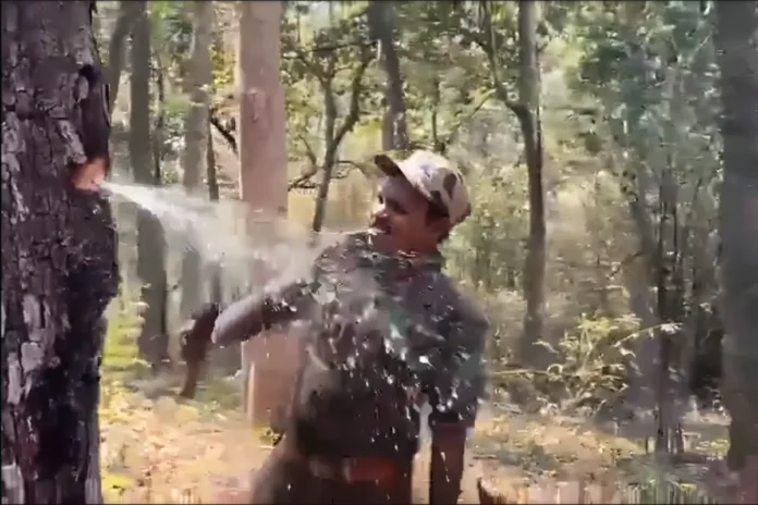 Viral Video Viral Video