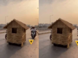 Viral Video