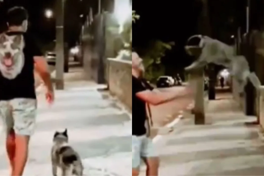 viral video