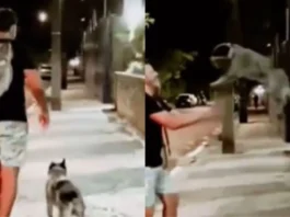 viral video