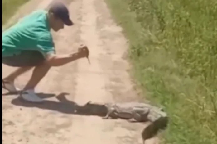 Animal Viral Video (13) Animal Viral Video