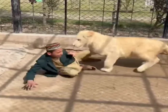 Animal Viral Video (4) Animal Viral Video