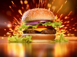 Pakistan boy kills friend over burger