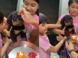 Viral Video