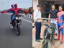 Viral Video Spiderman Couple