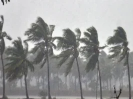 Weather Update