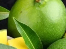 raw mango