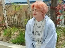 scoups seventeen