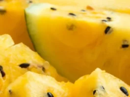 yellow watermelon (8)