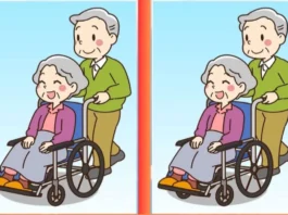 optical illusion
