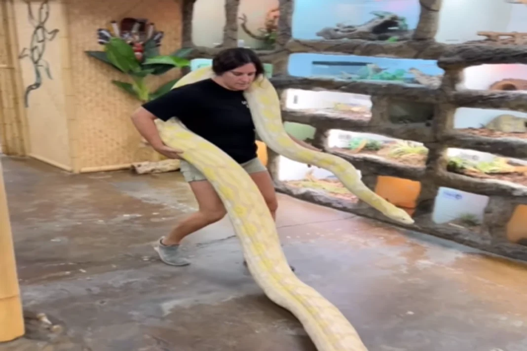 Animal Viral Video