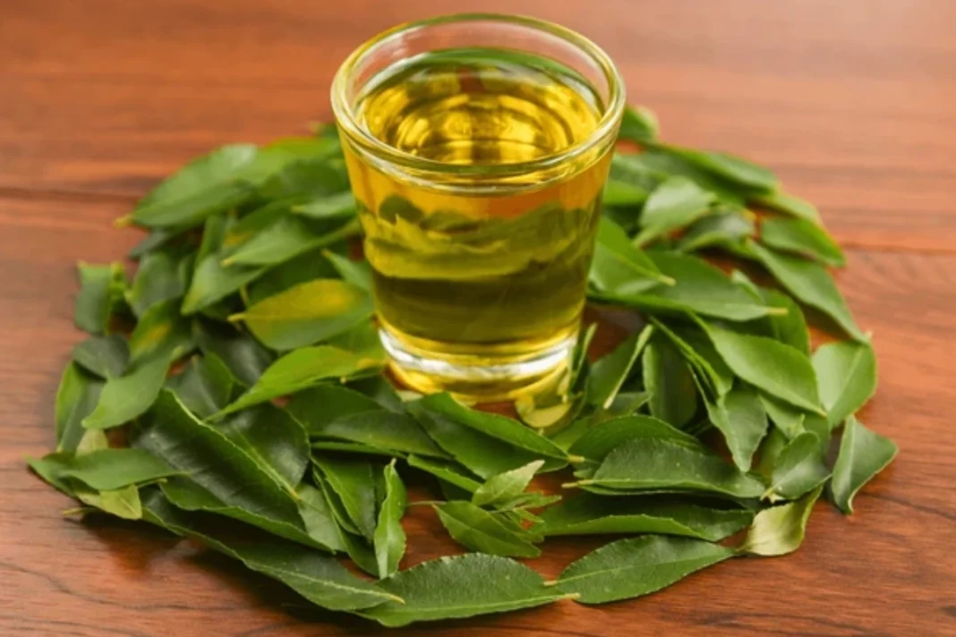 Curry Leaves Water