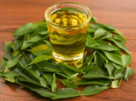 Curry Leaves Water
