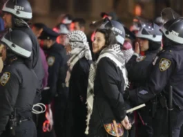 Pro Palestine Protest at US Universities