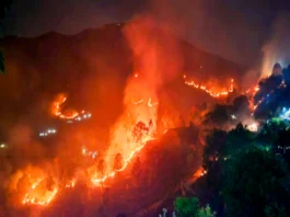 Uttarakhand Forest Fire