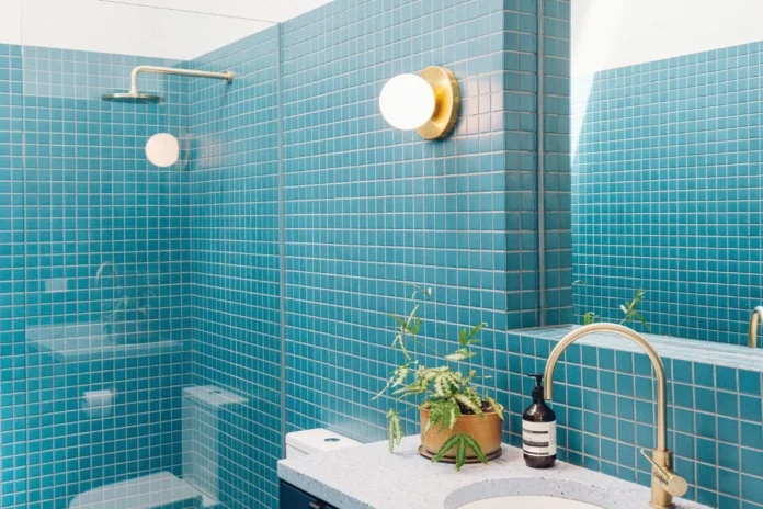 Vastu Tips (5) Vastu Tips