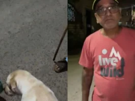 Viral Video