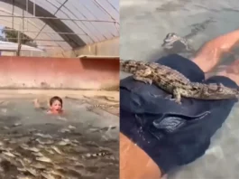 Viral Video