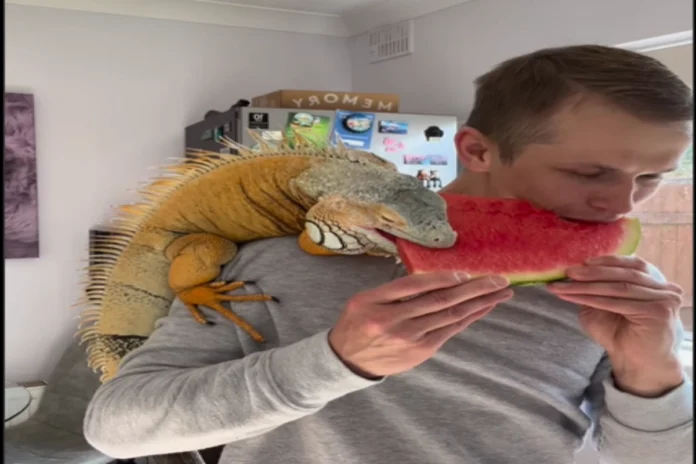 Viral Video (30) Viral Video