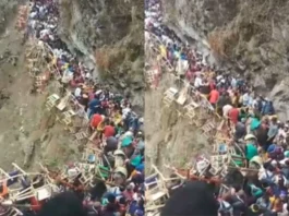 Yamunotri Dham Viral Video