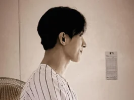 Seventeen DK (6)