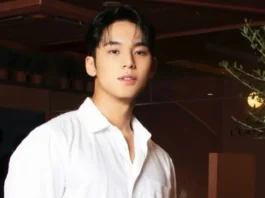 Seventeen Mingyu (5)